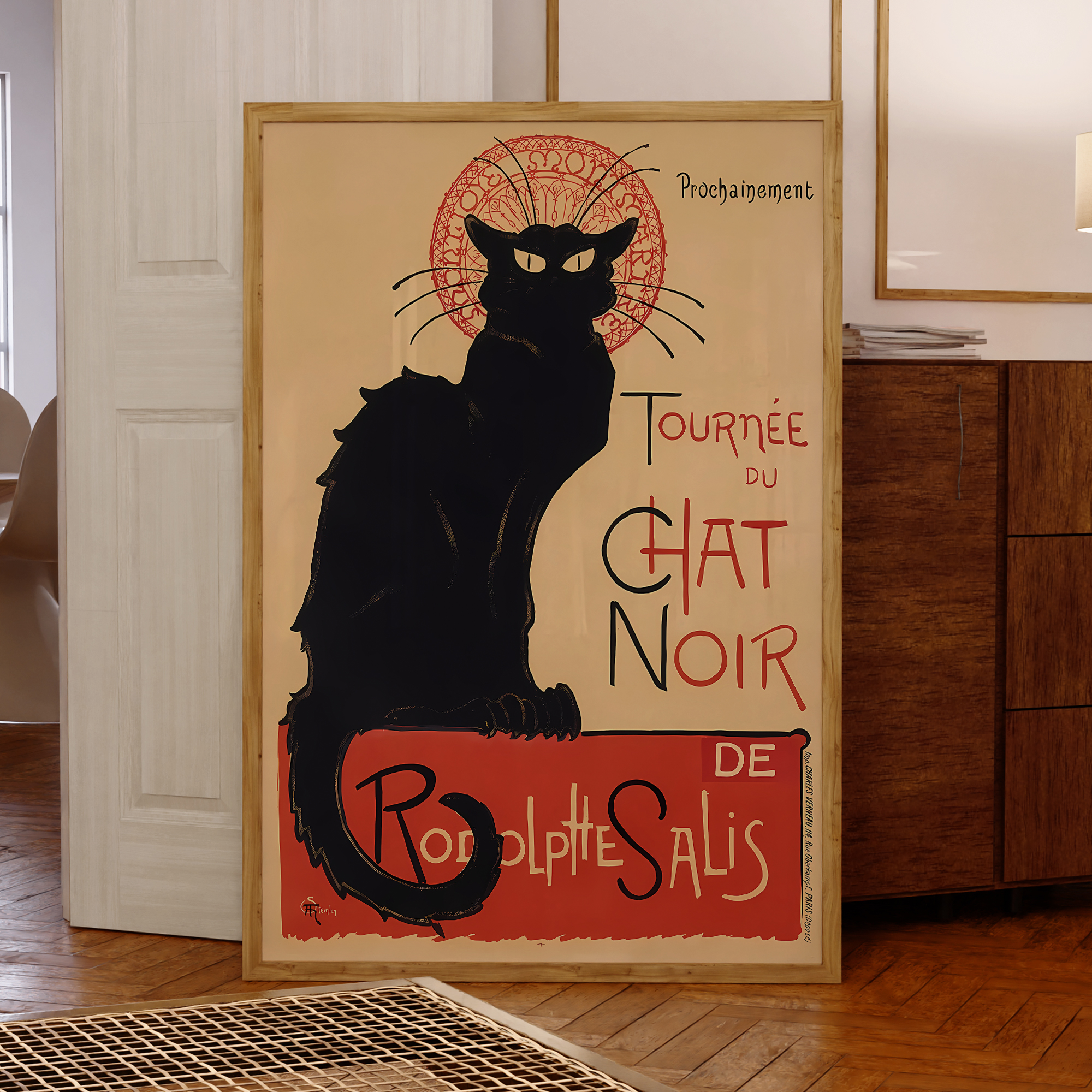 Photography Gallery - Modern Chat Noir - Black Cat