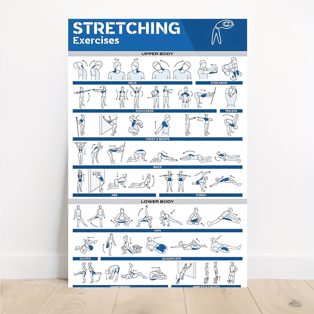 Photography Gallery - Modern Labeled Full-Body Stretches For Gym